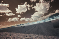 8 Photo de coss_0364-ffs